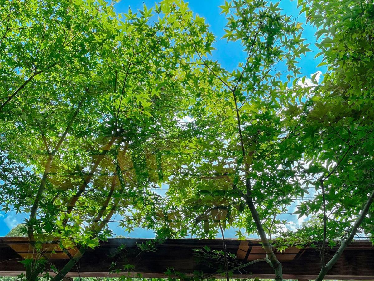Kappo Ryokan Yumesaki Beppu Exteriör bild
